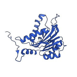 23502_7ls5_B_v1-2
Cryo-EM structure of the Pre3-1 20S proteasome core particle