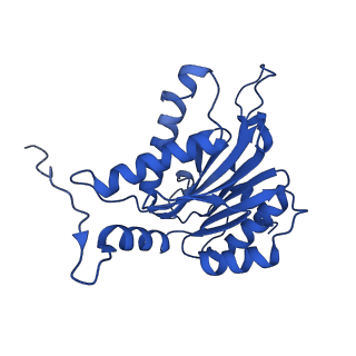 23502_7ls5_B_v1-3
Cryo-EM structure of the Pre3-1 20S proteasome core particle