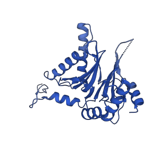 23502_7ls5_C_v1-2
Cryo-EM structure of the Pre3-1 20S proteasome core particle