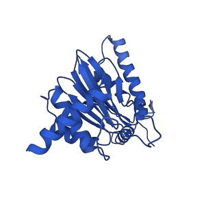 23502_7ls5_E_v1-2
Cryo-EM structure of the Pre3-1 20S proteasome core particle