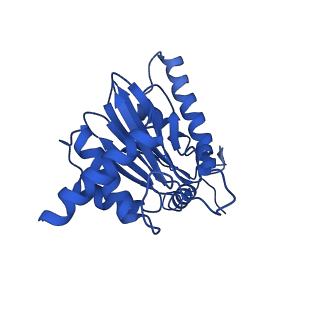 23502_7ls5_E_v1-3
Cryo-EM structure of the Pre3-1 20S proteasome core particle