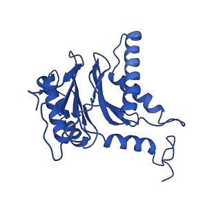23502_7ls5_F_v1-2
Cryo-EM structure of the Pre3-1 20S proteasome core particle