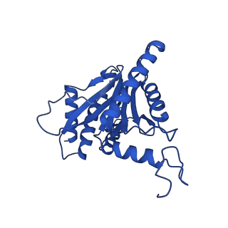 23502_7ls5_G_v1-2
Cryo-EM structure of the Pre3-1 20S proteasome core particle