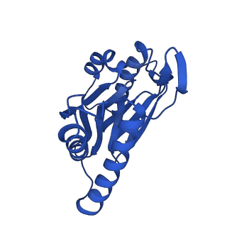 23502_7ls5_H_v1-2
Cryo-EM structure of the Pre3-1 20S proteasome core particle