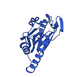 23502_7ls5_H_v1-3
Cryo-EM structure of the Pre3-1 20S proteasome core particle