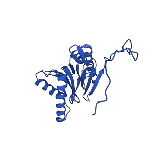 23502_7ls5_I_v1-2
Cryo-EM structure of the Pre3-1 20S proteasome core particle