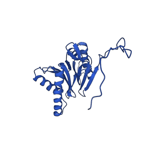 23502_7ls5_I_v1-3
Cryo-EM structure of the Pre3-1 20S proteasome core particle