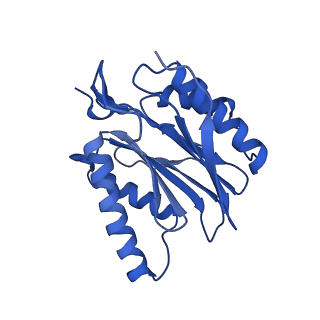 23502_7ls5_J_v1-2
Cryo-EM structure of the Pre3-1 20S proteasome core particle