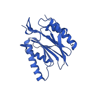 23502_7ls5_J_v1-3
Cryo-EM structure of the Pre3-1 20S proteasome core particle