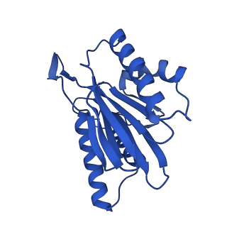 23502_7ls5_K_v1-2
Cryo-EM structure of the Pre3-1 20S proteasome core particle