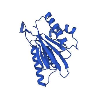 23502_7ls5_K_v1-3
Cryo-EM structure of the Pre3-1 20S proteasome core particle