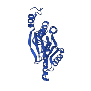 23502_7ls5_L_v1-2
Cryo-EM structure of the Pre3-1 20S proteasome core particle