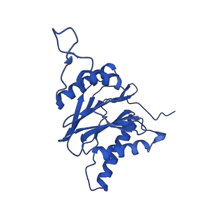 23502_7ls5_M_v1-3
Cryo-EM structure of the Pre3-1 20S proteasome core particle