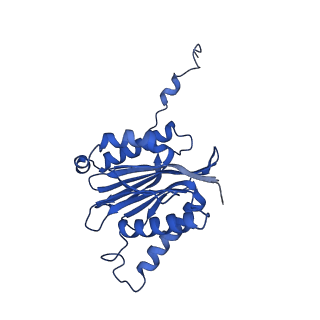 23502_7ls5_N_v1-2
Cryo-EM structure of the Pre3-1 20S proteasome core particle