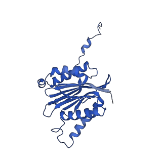 23502_7ls5_N_v1-3
Cryo-EM structure of the Pre3-1 20S proteasome core particle