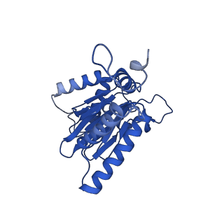 23502_7ls5_O_v1-2
Cryo-EM structure of the Pre3-1 20S proteasome core particle