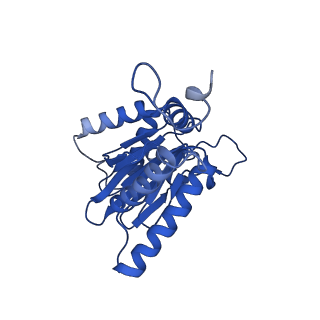 23502_7ls5_O_v1-3
Cryo-EM structure of the Pre3-1 20S proteasome core particle