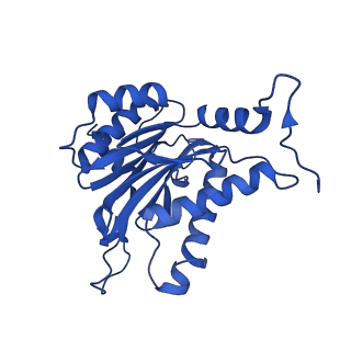 23502_7ls5_P_v1-2
Cryo-EM structure of the Pre3-1 20S proteasome core particle