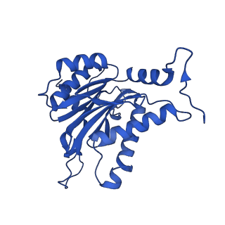 23502_7ls5_P_v1-3
Cryo-EM structure of the Pre3-1 20S proteasome core particle