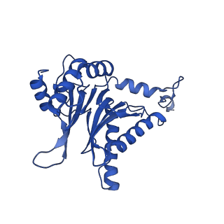 23502_7ls5_Q_v1-2
Cryo-EM structure of the Pre3-1 20S proteasome core particle