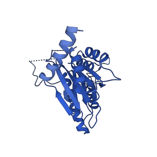 23502_7ls5_R_v1-2
Cryo-EM structure of the Pre3-1 20S proteasome core particle
