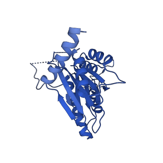 23502_7ls5_R_v1-3
Cryo-EM structure of the Pre3-1 20S proteasome core particle