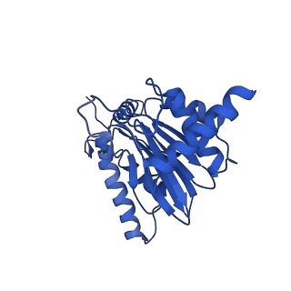 23502_7ls5_S_v1-2
Cryo-EM structure of the Pre3-1 20S proteasome core particle