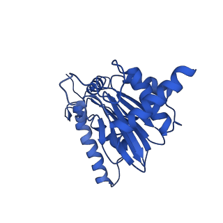 23502_7ls5_S_v1-3
Cryo-EM structure of the Pre3-1 20S proteasome core particle