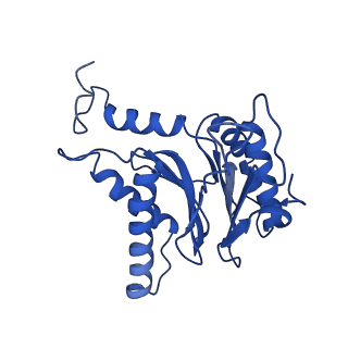 23502_7ls5_T_v1-2
Cryo-EM structure of the Pre3-1 20S proteasome core particle