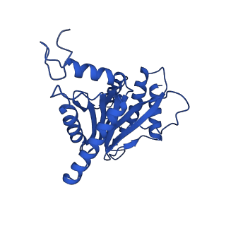 23502_7ls5_U_v1-2
Cryo-EM structure of the Pre3-1 20S proteasome core particle
