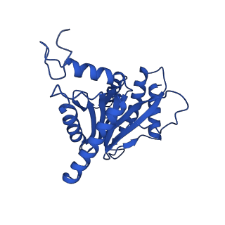 23502_7ls5_U_v1-3
Cryo-EM structure of the Pre3-1 20S proteasome core particle