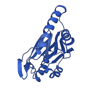 23502_7ls5_V_v1-2
Cryo-EM structure of the Pre3-1 20S proteasome core particle