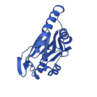 23502_7ls5_V_v1-3
Cryo-EM structure of the Pre3-1 20S proteasome core particle