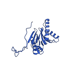 23502_7ls5_W_v1-2
Cryo-EM structure of the Pre3-1 20S proteasome core particle