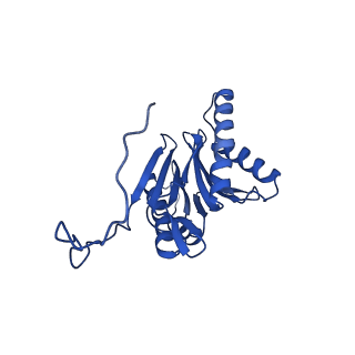 23502_7ls5_W_v1-3
Cryo-EM structure of the Pre3-1 20S proteasome core particle