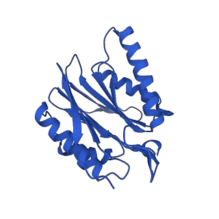 23502_7ls5_X_v1-3
Cryo-EM structure of the Pre3-1 20S proteasome core particle