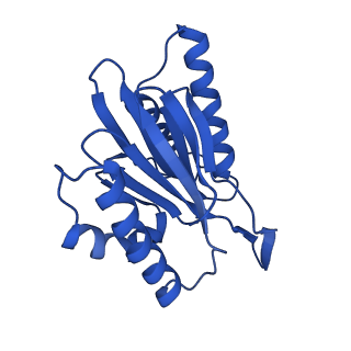 23502_7ls5_Y_v1-2
Cryo-EM structure of the Pre3-1 20S proteasome core particle
