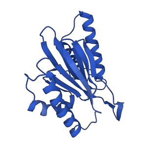 23502_7ls5_Y_v1-3
Cryo-EM structure of the Pre3-1 20S proteasome core particle