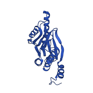 23502_7ls5_Z_v1-3
Cryo-EM structure of the Pre3-1 20S proteasome core particle