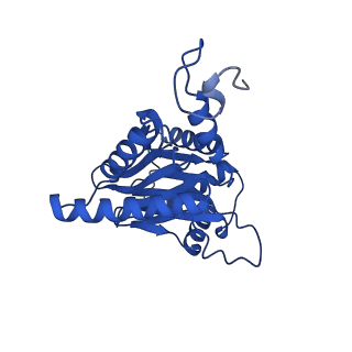 23503_7ls6_A_v1-3
Cryo-EM structure of Pre-15S proteasome core particle assembly intermediate purified from Pre3-1 proteasome mutant (G34D)