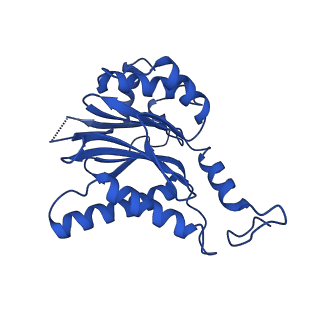 23503_7ls6_C_v1-2
Cryo-EM structure of Pre-15S proteasome core particle assembly intermediate purified from Pre3-1 proteasome mutant (G34D)