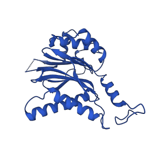 23503_7ls6_C_v1-3
Cryo-EM structure of Pre-15S proteasome core particle assembly intermediate purified from Pre3-1 proteasome mutant (G34D)