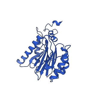 23503_7ls6_F_v1-2
Cryo-EM structure of Pre-15S proteasome core particle assembly intermediate purified from Pre3-1 proteasome mutant (G34D)