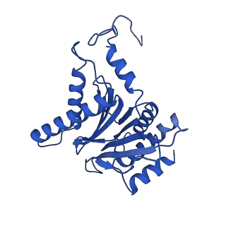 23503_7ls6_G_v1-3
Cryo-EM structure of Pre-15S proteasome core particle assembly intermediate purified from Pre3-1 proteasome mutant (G34D)