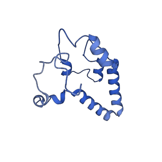 23503_7ls6_H_v1-3
Cryo-EM structure of Pre-15S proteasome core particle assembly intermediate purified from Pre3-1 proteasome mutant (G34D)