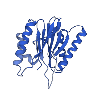 23503_7ls6_K_v1-3
Cryo-EM structure of Pre-15S proteasome core particle assembly intermediate purified from Pre3-1 proteasome mutant (G34D)