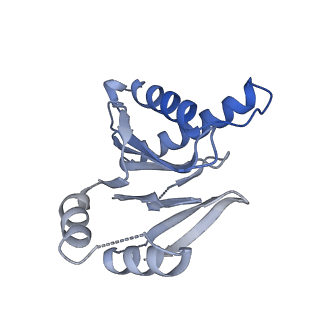 23503_7ls6_M_v1-2
Cryo-EM structure of Pre-15S proteasome core particle assembly intermediate purified from Pre3-1 proteasome mutant (G34D)