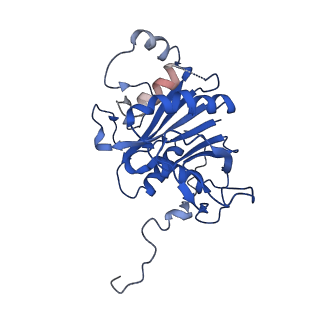 23503_7ls6_P_v1-3
Cryo-EM structure of Pre-15S proteasome core particle assembly intermediate purified from Pre3-1 proteasome mutant (G34D)