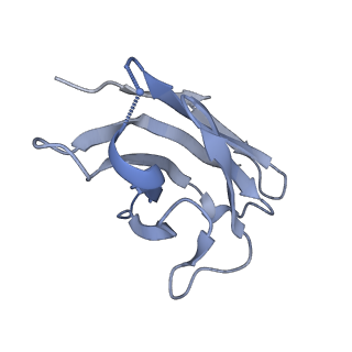23506_7ls9_F_v1-3
Cryo-EM structure of neutralizing antibody 1-57 in complex with prefusion SARS-CoV-2 spike glycoprotein