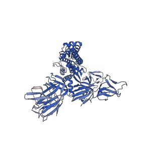 23507_7lss_A_v1-1
Cryo-EM structure of the SARS-CoV-2 spike glycoprotein bound to Fab 2-7